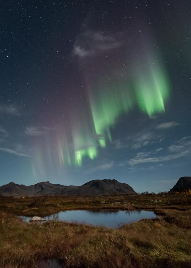 Lyngvaer Luggombu Villa Kleppstad Exterior foto